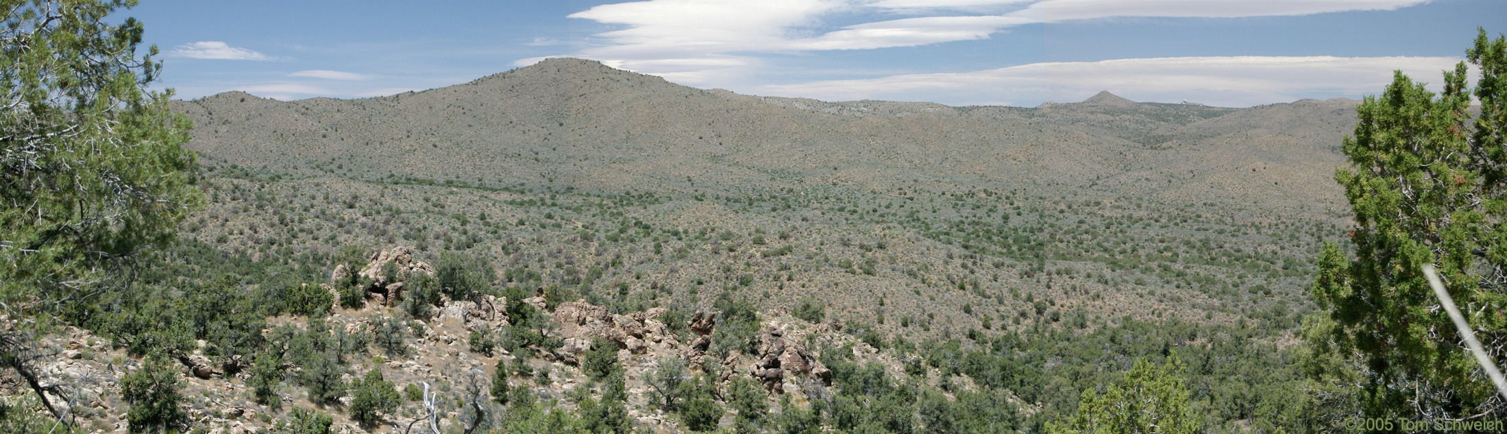 Wild Horse Mesa, Mojave National Preserve, San Bernardino County, California