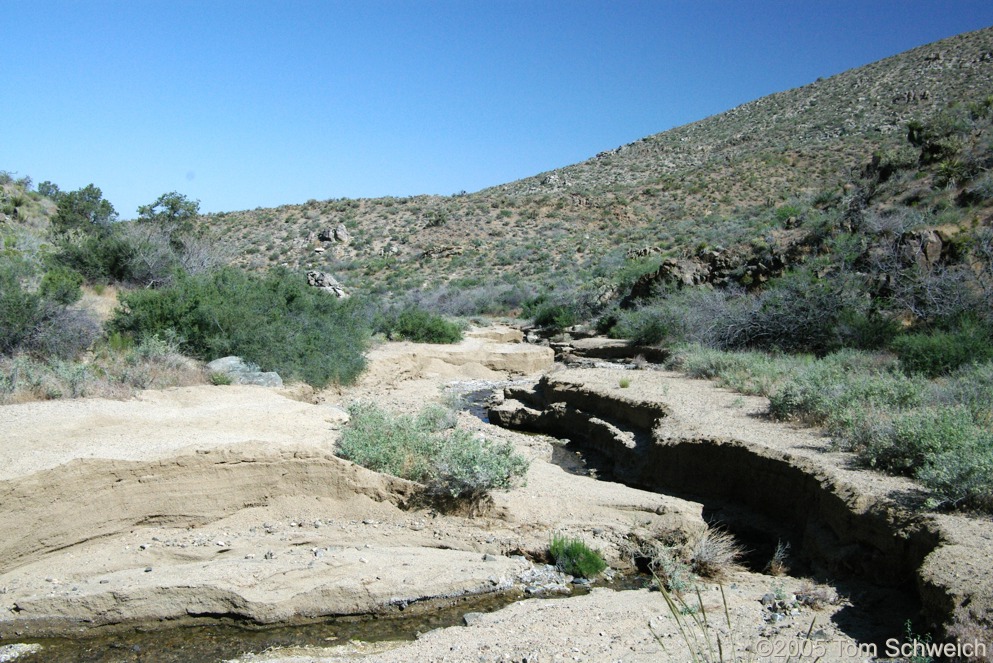 Macedonia Canyon, Mojave National Preserve, San Bernardino County, California