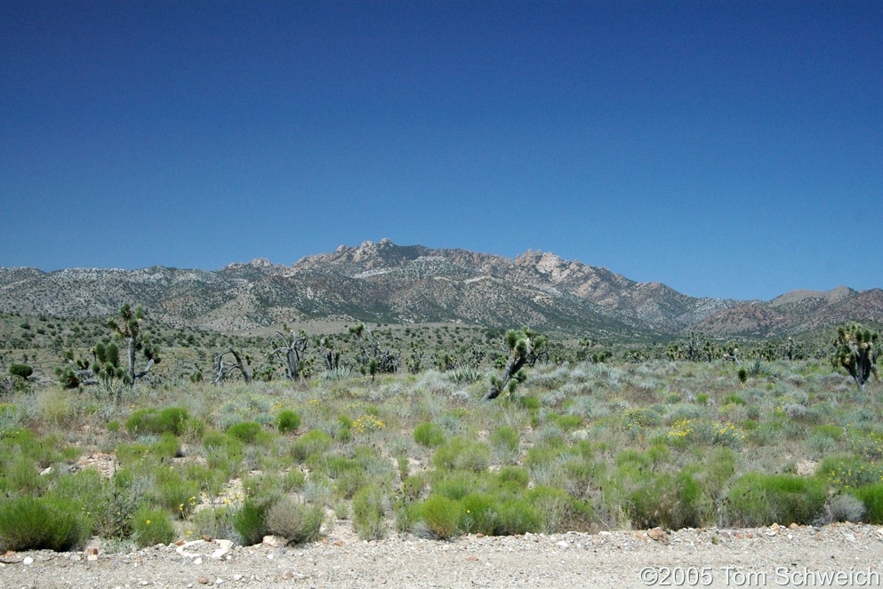 New York Mountains, Mojave National Preserve, San Bernardino County, California