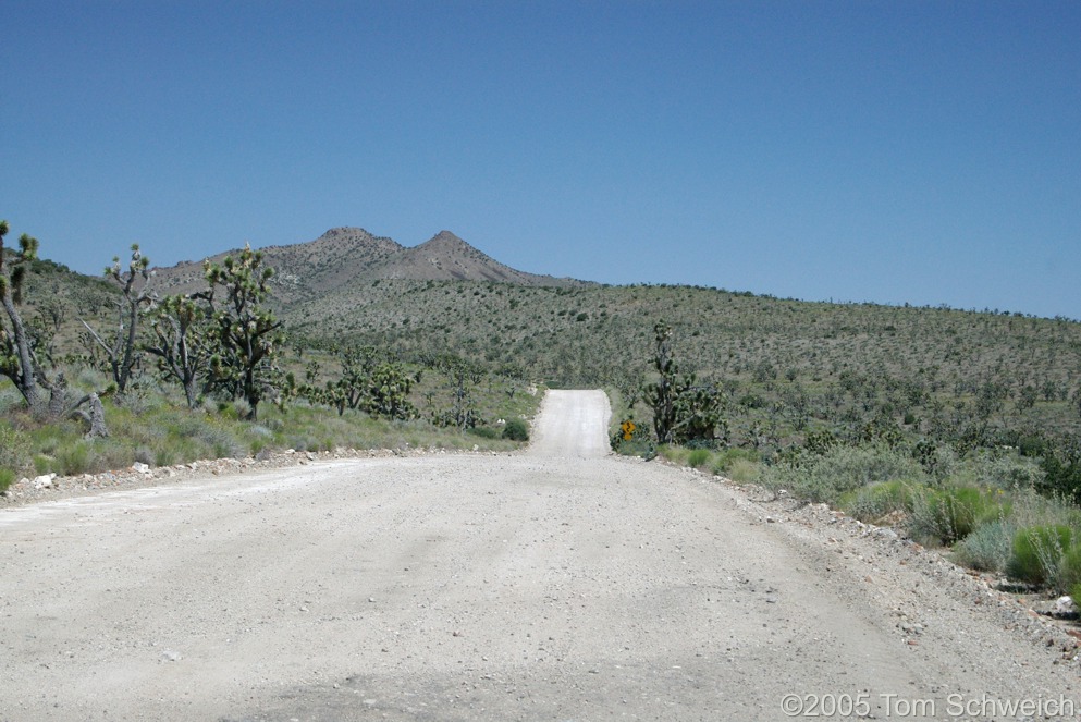 Ivanpah Road, Mojave National Preserve, San Bernardino County, California