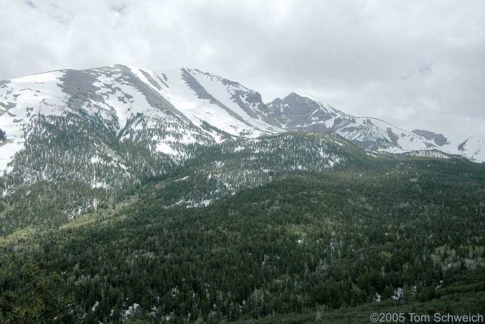 Wheeler Peak, Great Basin National Park, White Pine County, California