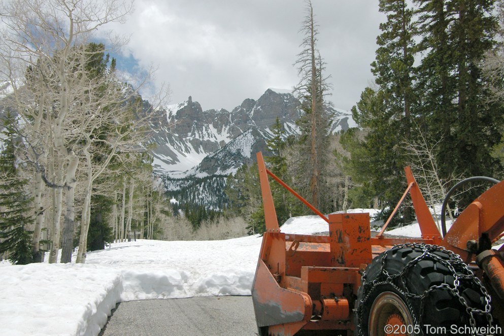 Great Basin National Park, White Pine County, Nevada