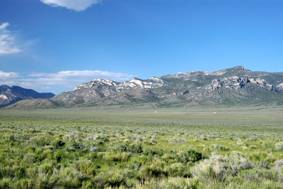 White Horse Pasture, Egan Range, Nye County, Lincoln County, Nevada