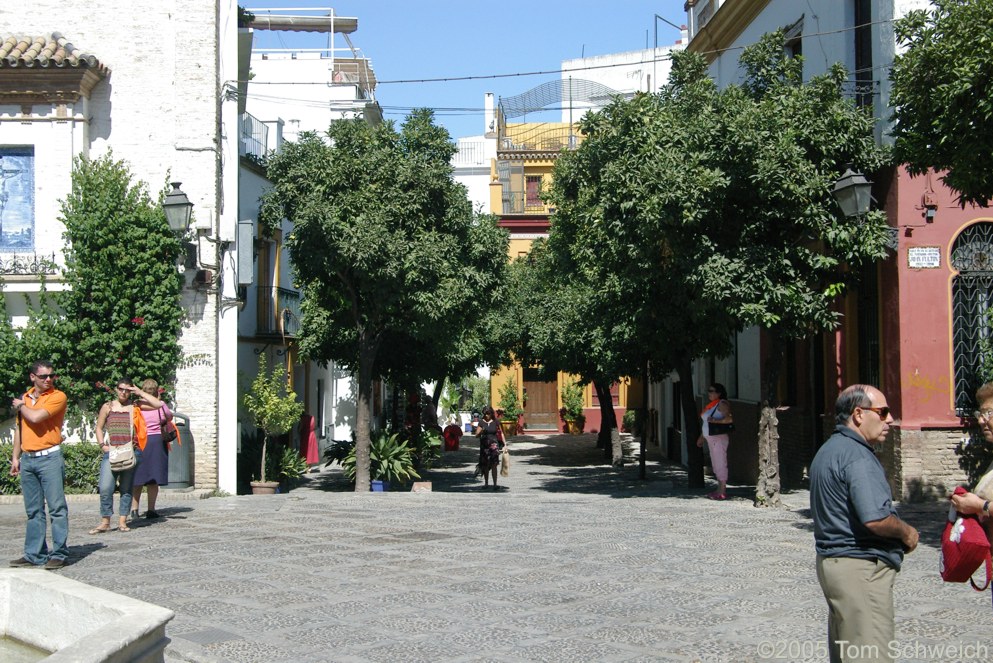 Barrio Santa Cruz, Sevilla, Andalucia, Spain