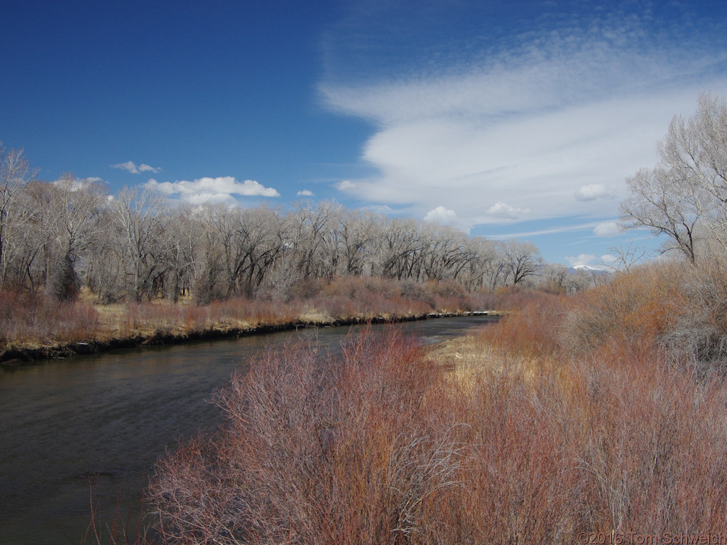 Rio Grande River at the Alamosa - Rio Grande County line.