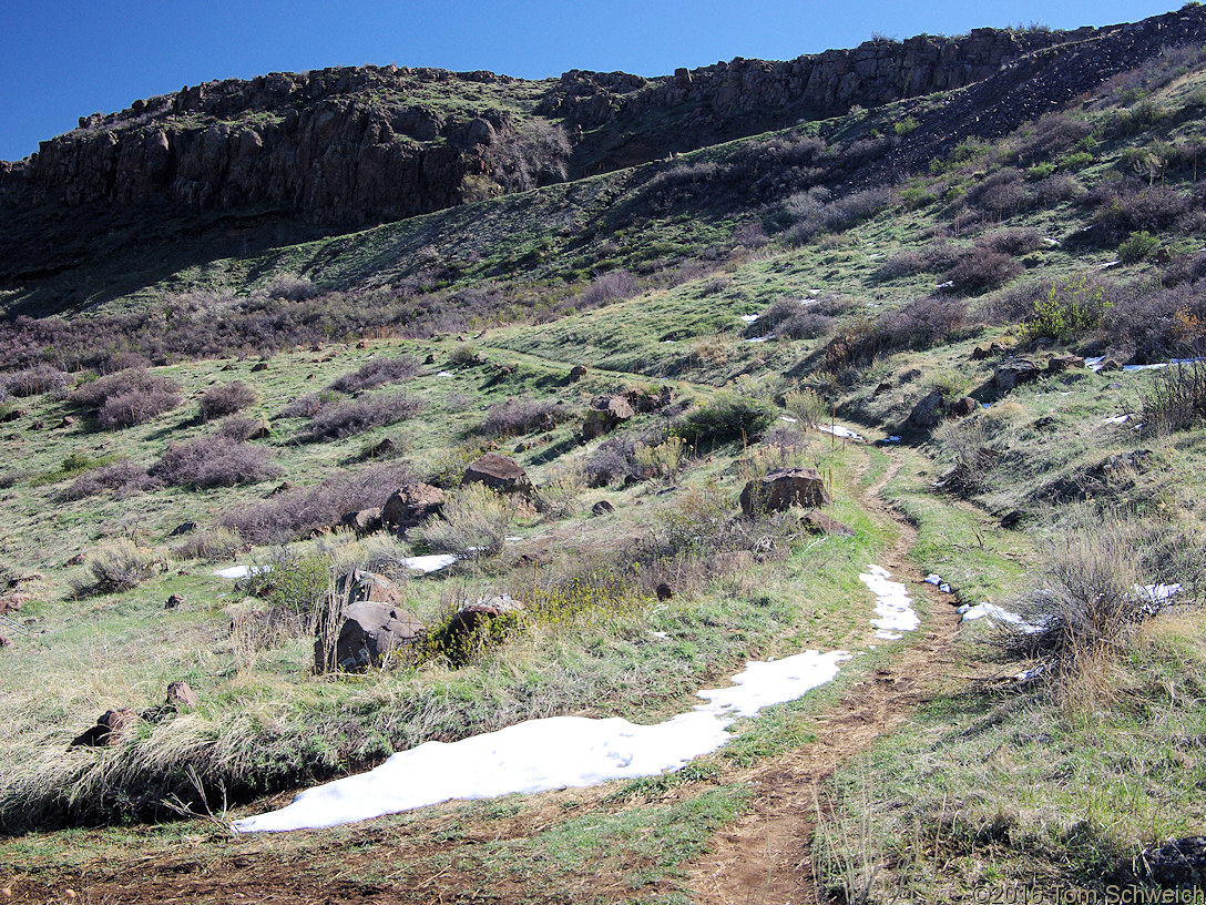 Social trail on west side of North Table Mountain.