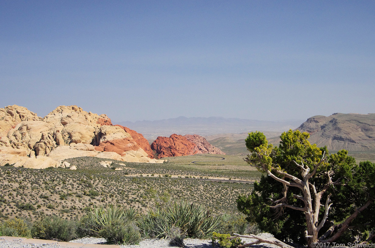 Nevada, Clark County, Red Rock Canyon National Conservation Area