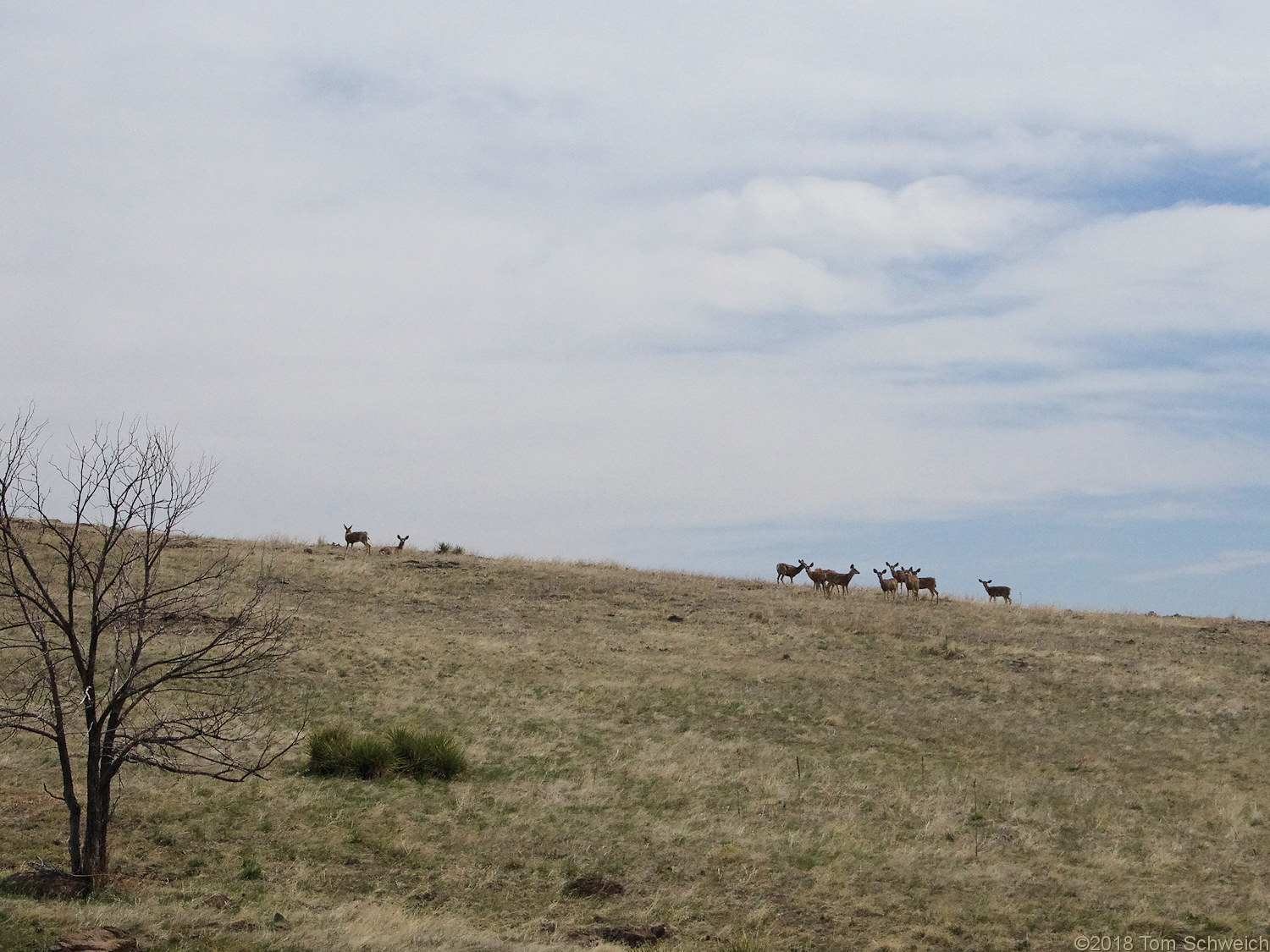 Colorado, Jefferson County, North Table Mountain