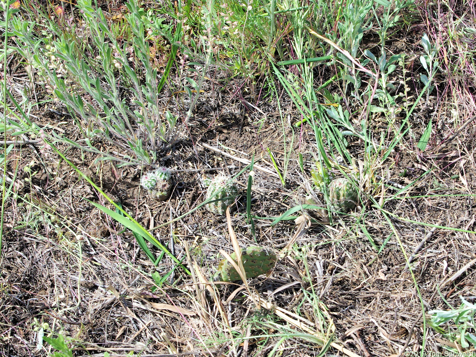 Colorado, Jefferson County, Golden, North Washington Open Space