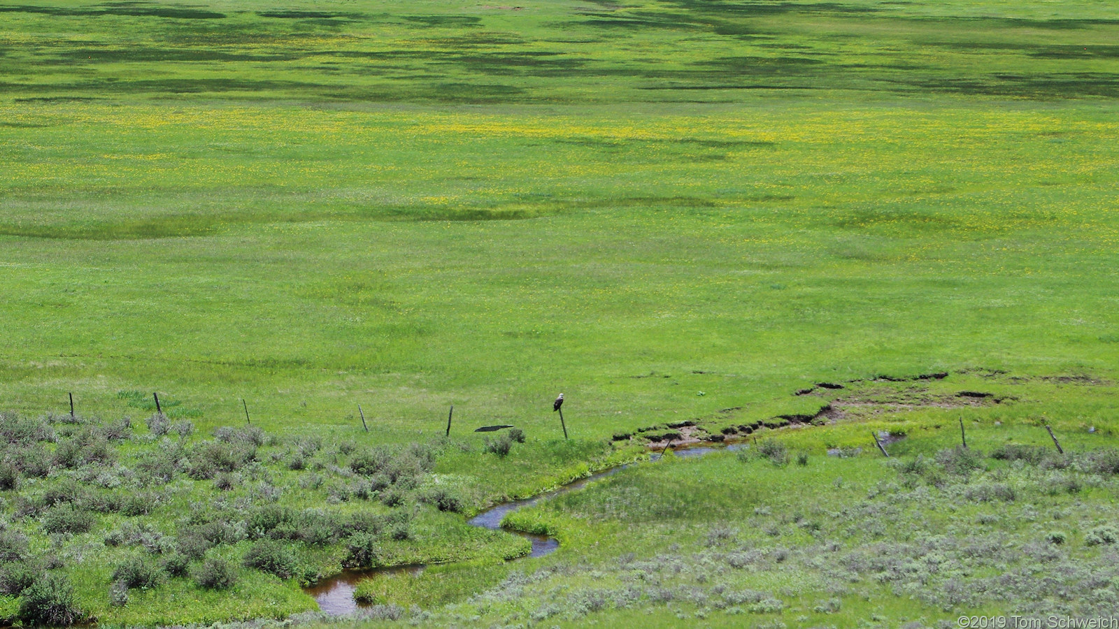 Colorado, Routt County, Toponas