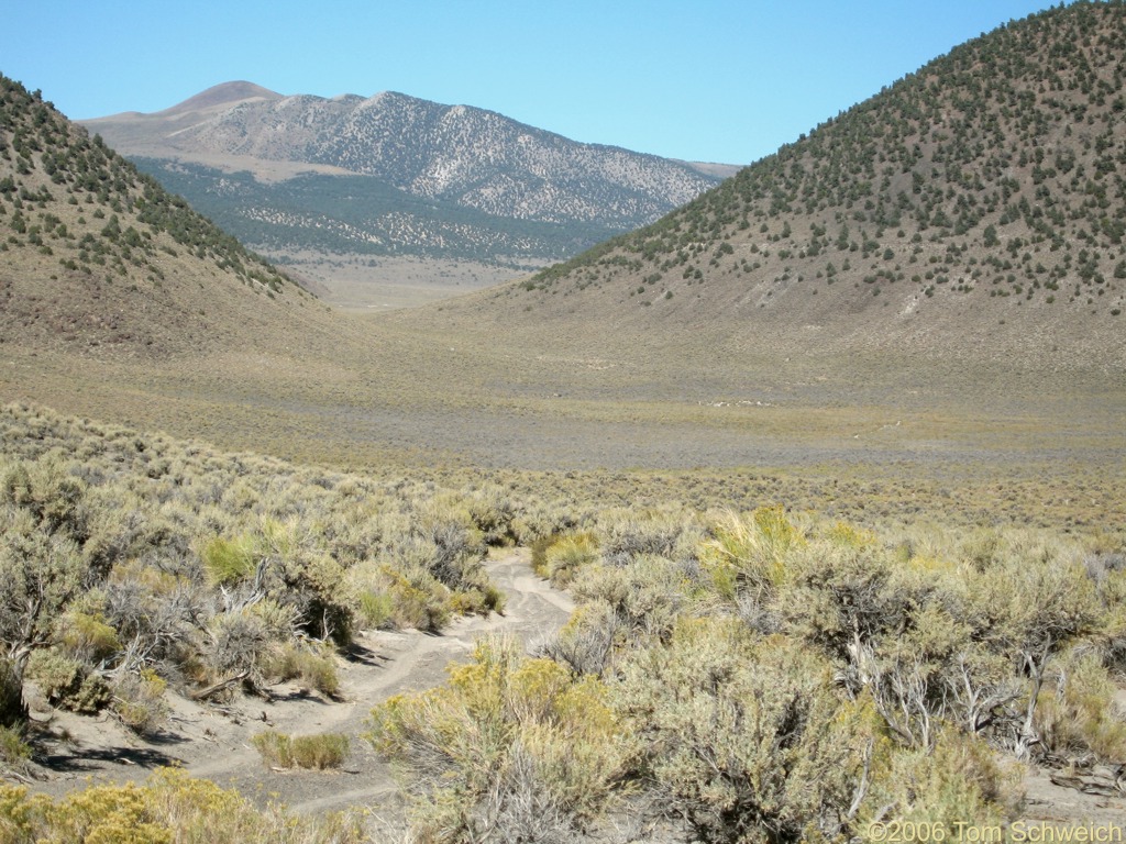 Trench Canyon, Mono County, California