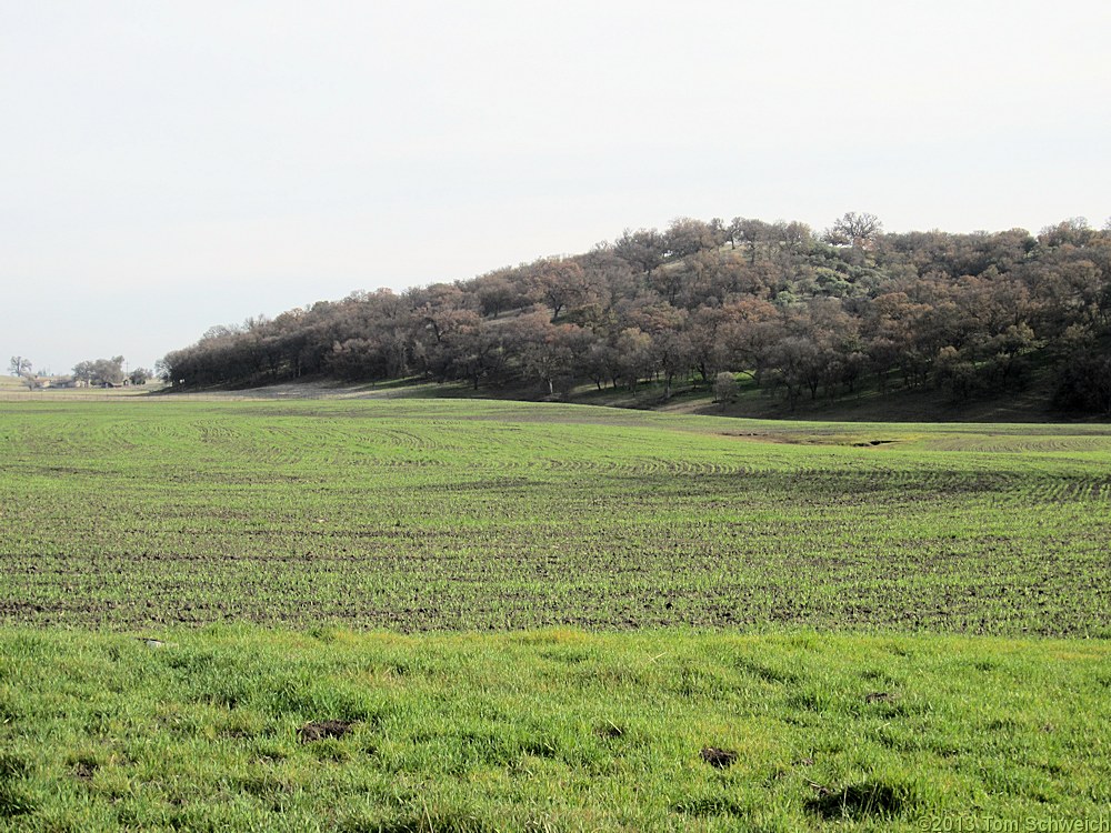California, Monterey County, Miller's Field