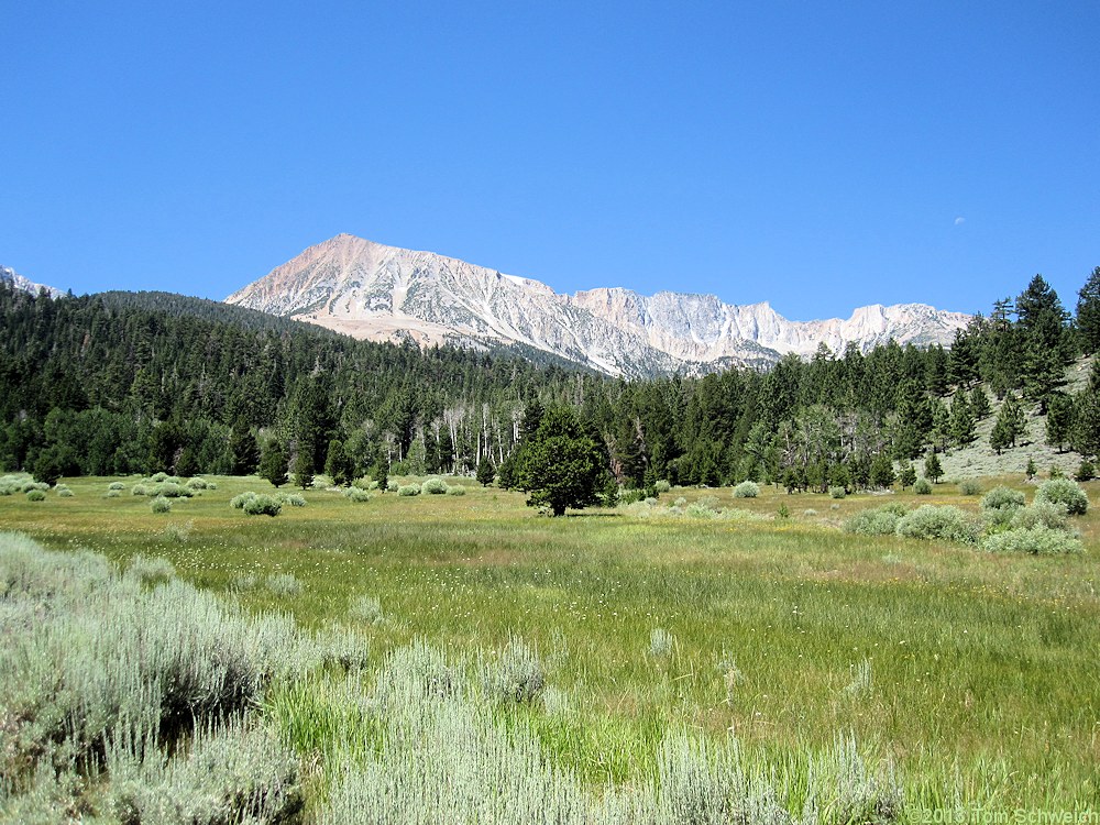 California, Mono County, Upper Horse Meadow