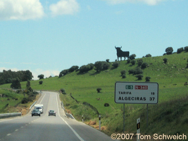 Osborne Bull, Cadiz, Andalucia, Spain