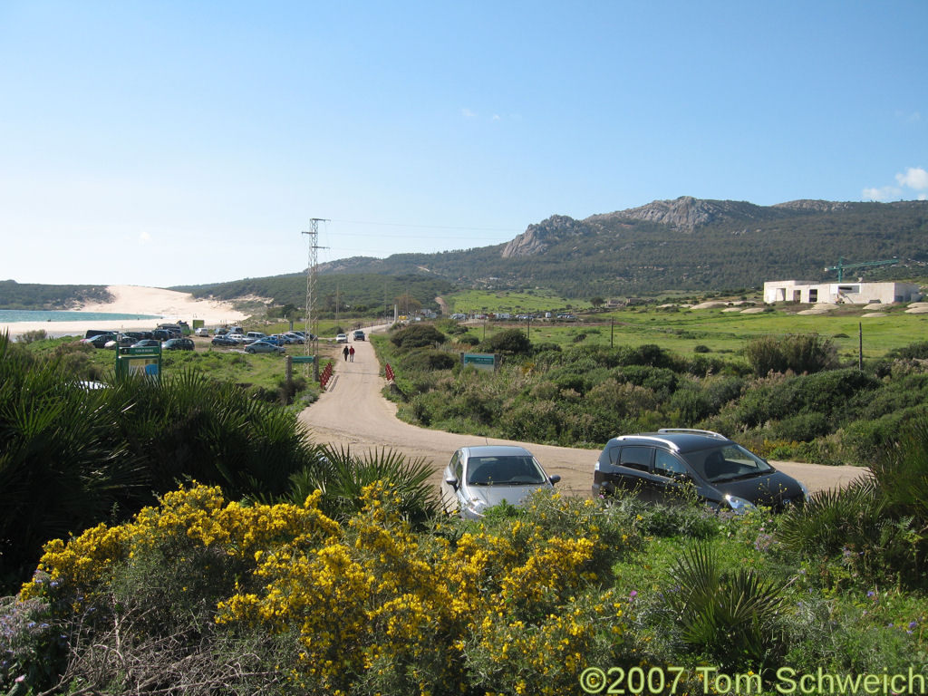 Baelo Claudio, Bolonia, Cadiz, Andalucia, Spain