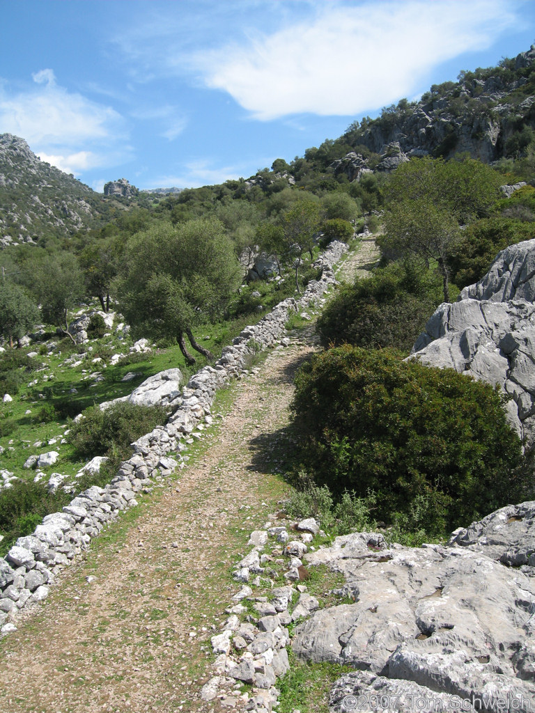 Calzada Romana, Ubrique, Cadiz, Andalucia, Spain