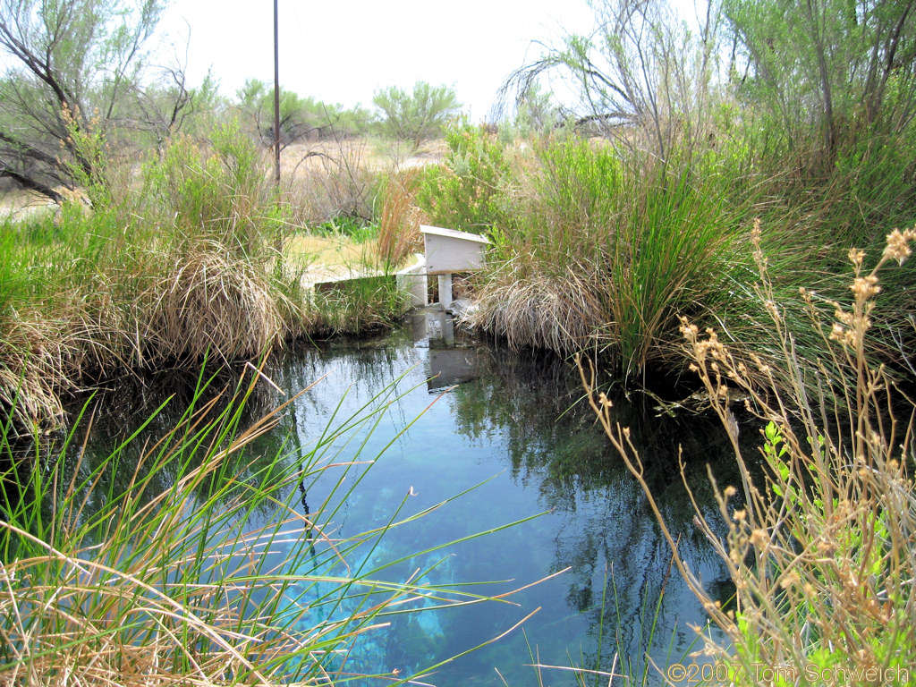 Rogers Spring, Ash Meadows National Wildlife Refuge, Nye County, Nevada