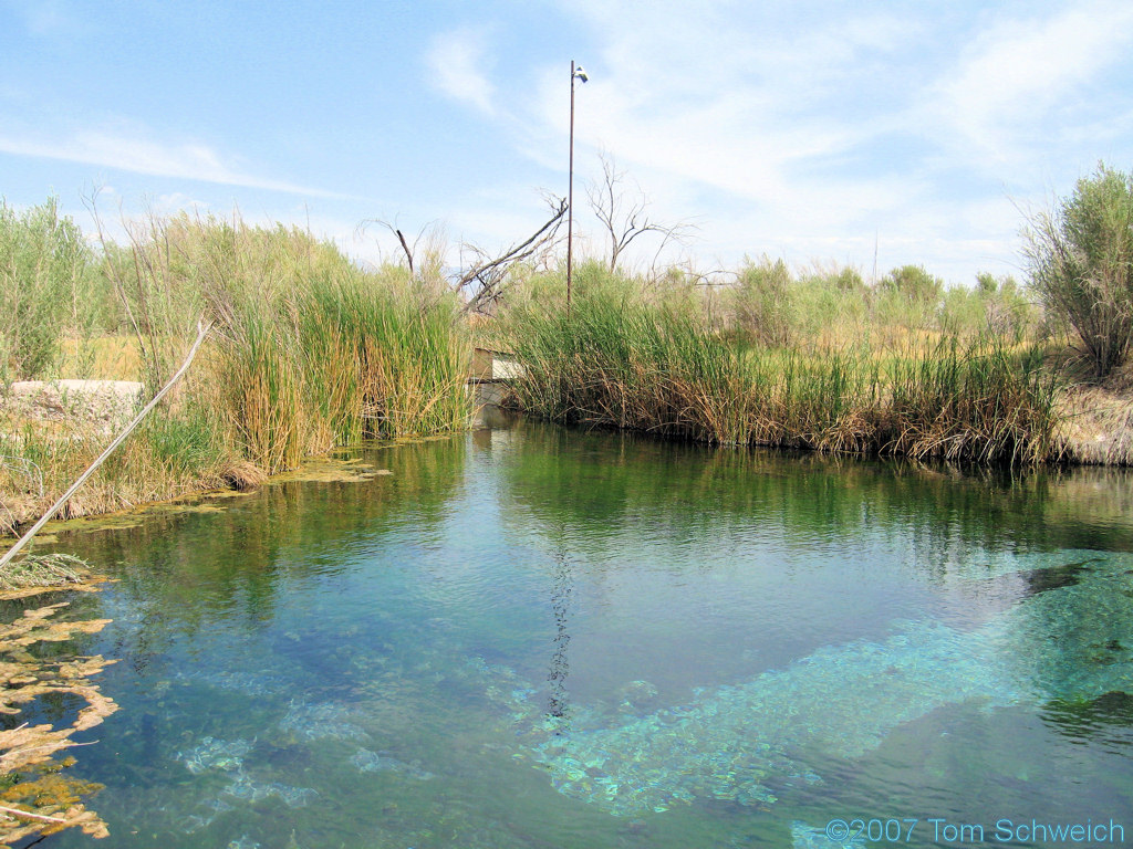 Fairbanks Spring, Ash Meadows National Wildlife Refuge, Nye County, Nevada