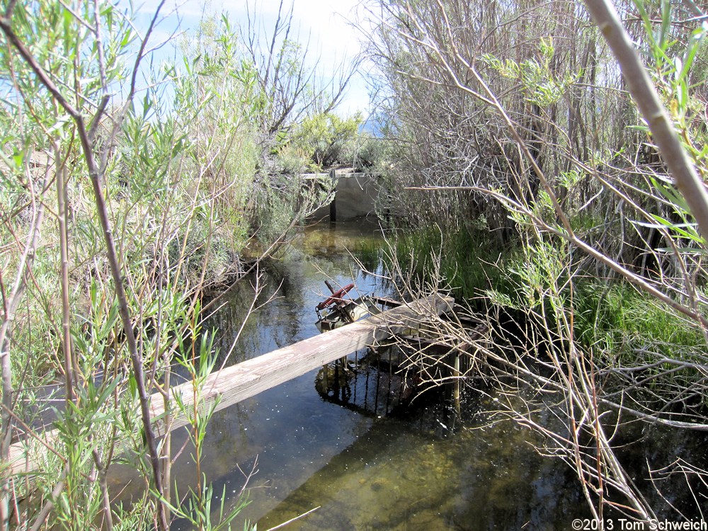 California, Mono County, Wilson Creek