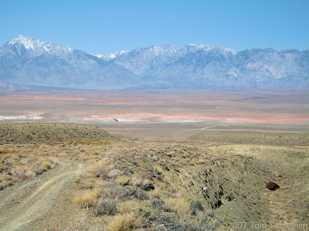 California, Inyo Mountains, Coldwater Canyon