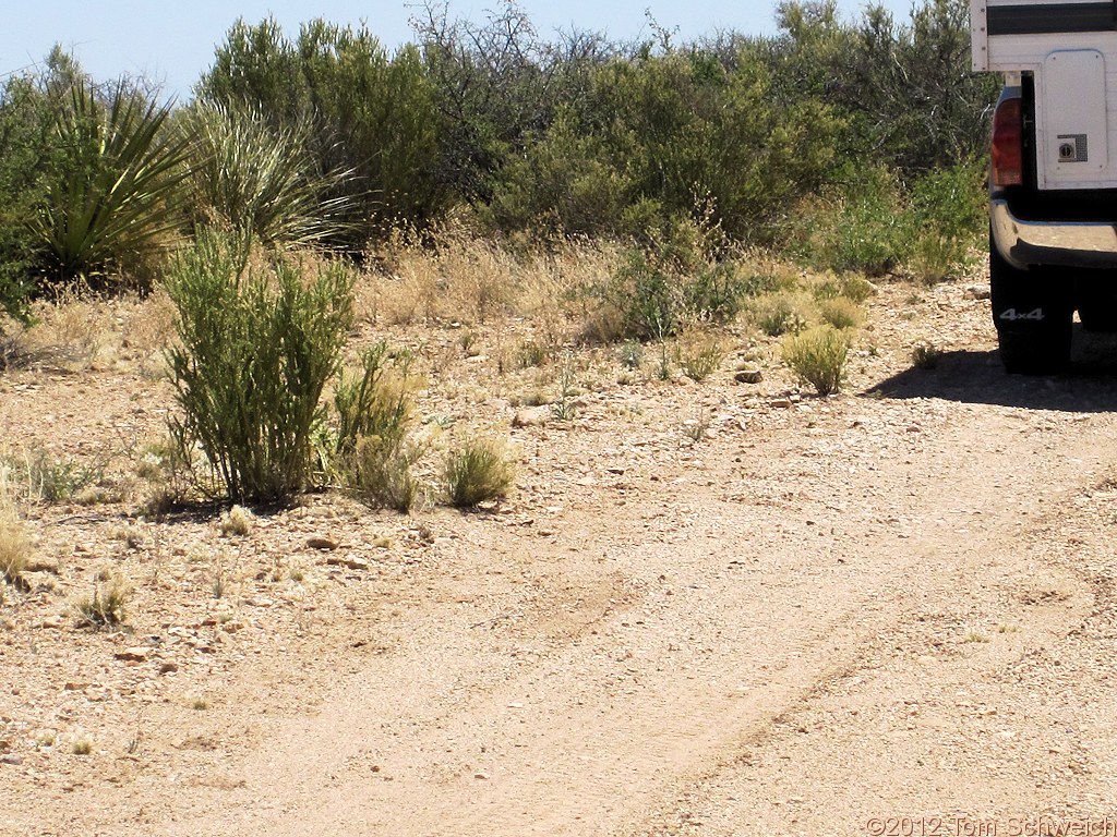 Arizona, Cochise County, Johnson