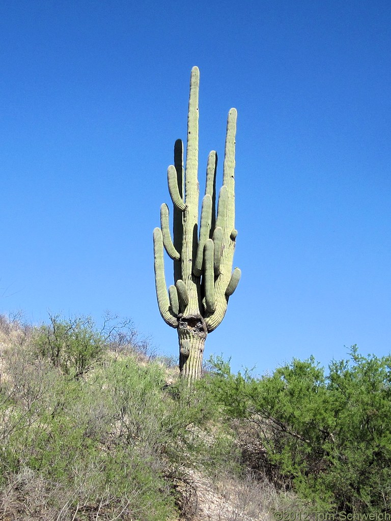 Arizona, Cochise County, Cascabel