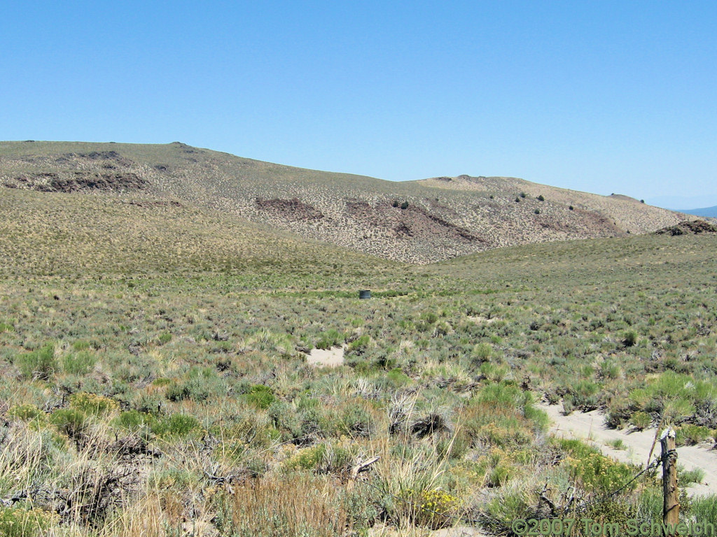 California, Mono County, Cowtrack Mountain