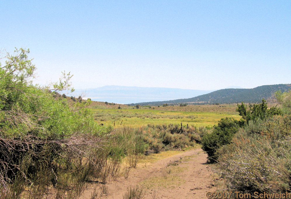 California, Mono County, Bridgeport Canyon, Cowtrack Mountain