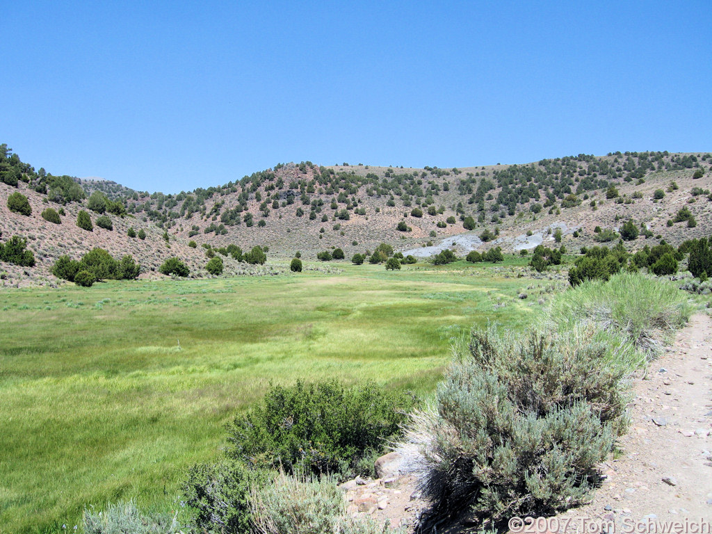 California, Mono County Mormon Meadow