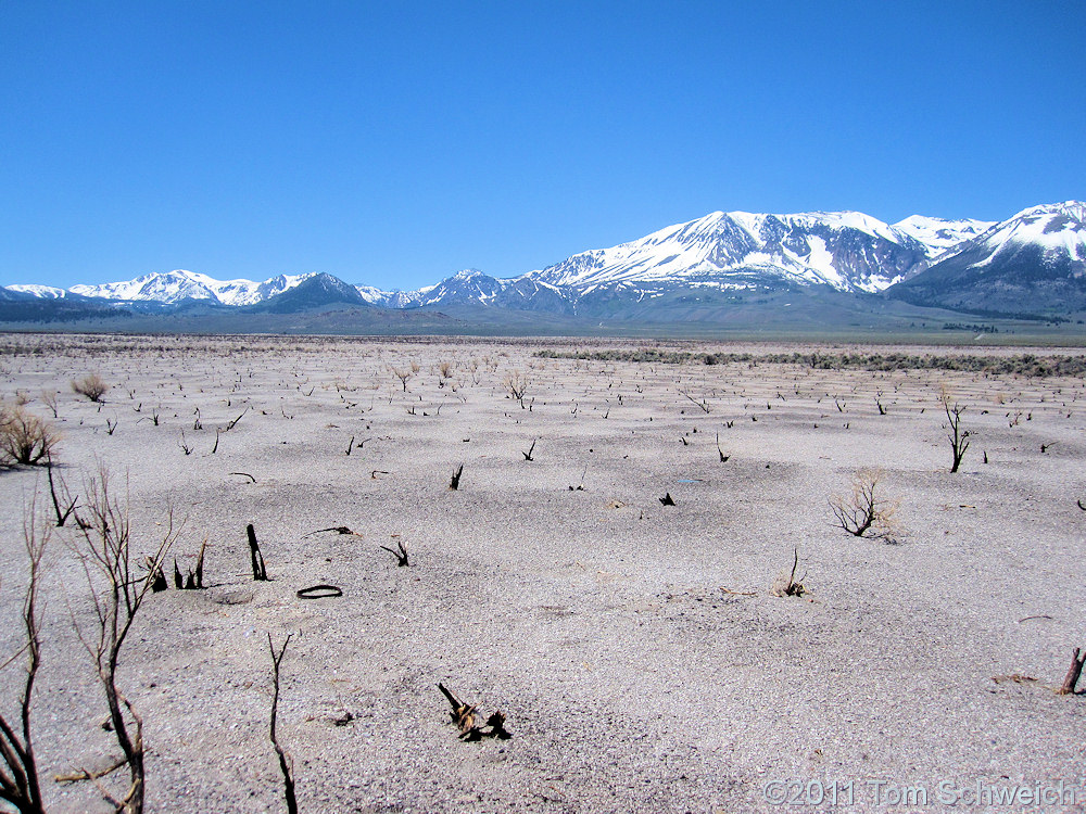 California, Mono County, Pumice Valley