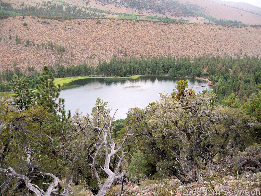 California, Mono County, Walker Lake