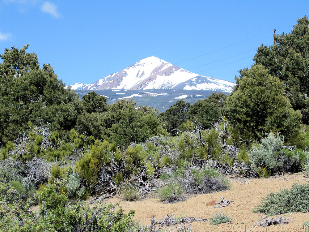 California, Mono County, Bodie Hills, Goat Ranch Cutoff