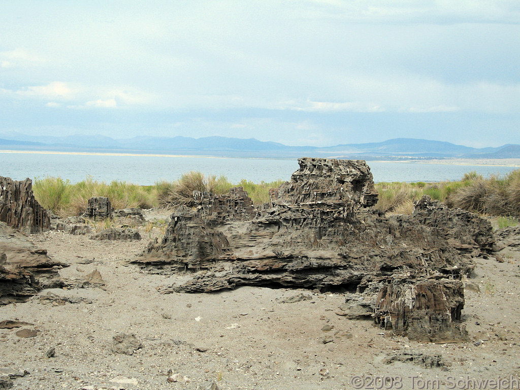 California, Mono County, Mono Lake, Navy Beach, Sand Tufa