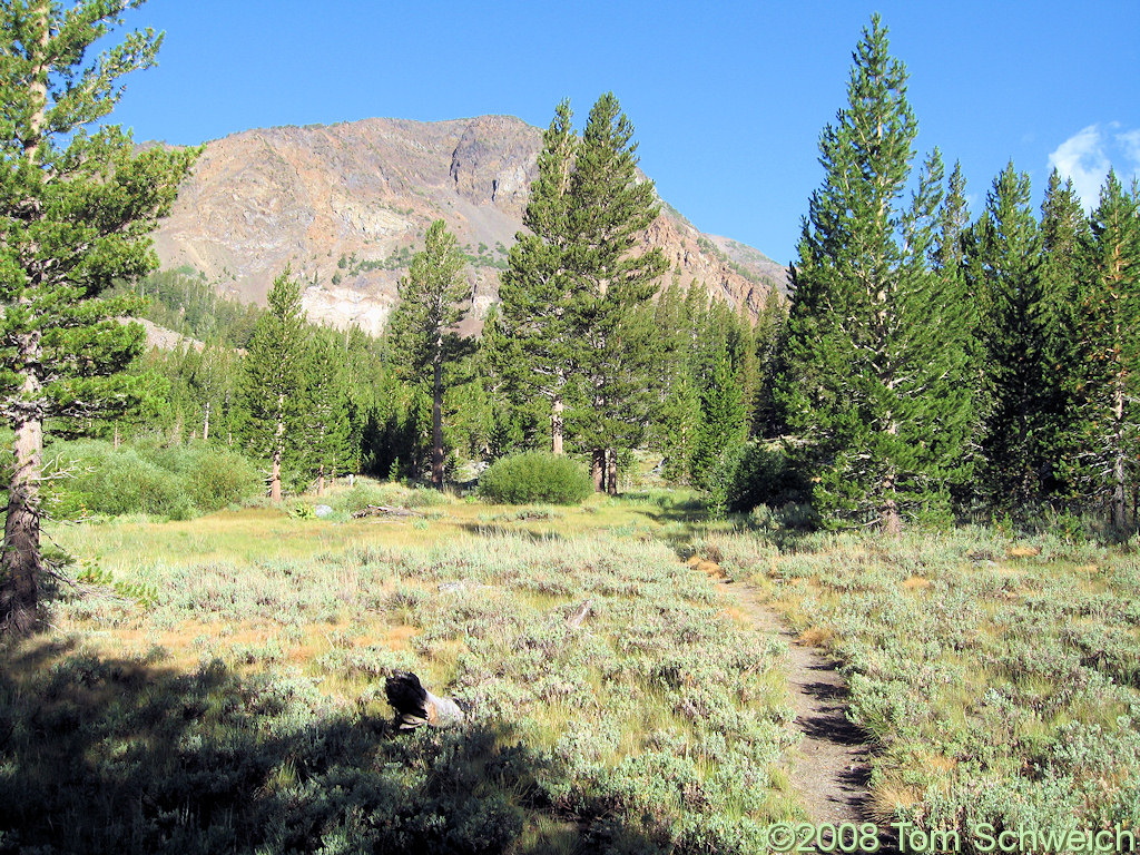 California, Mono County, Warren Canyon