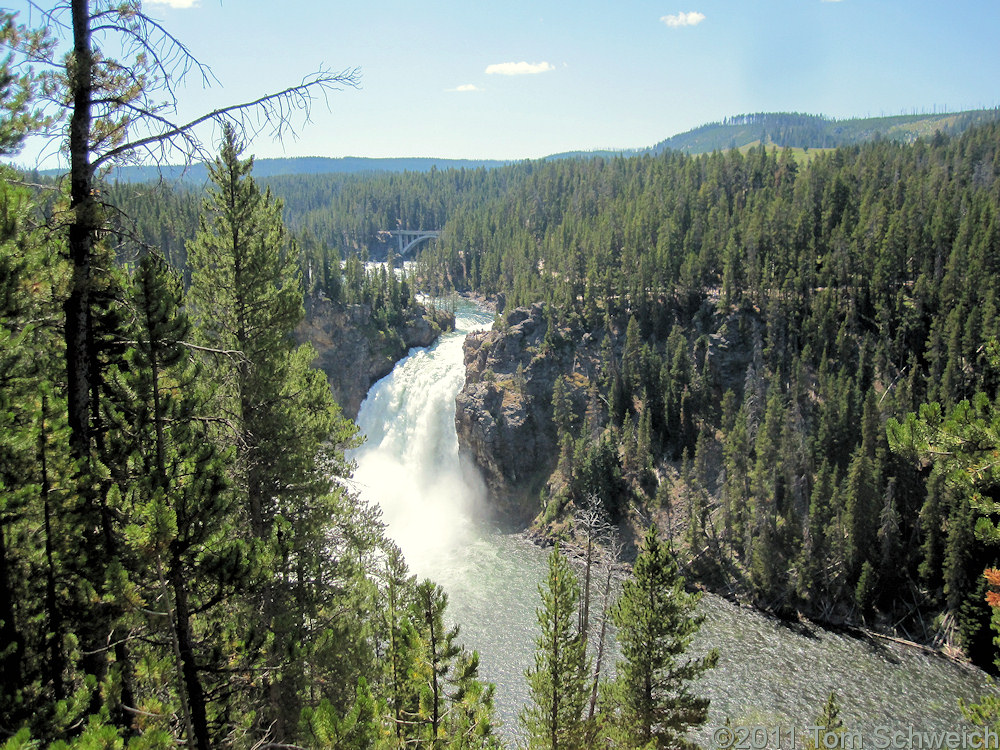 Wyoming, Park County, Upper Yellowstone Falls