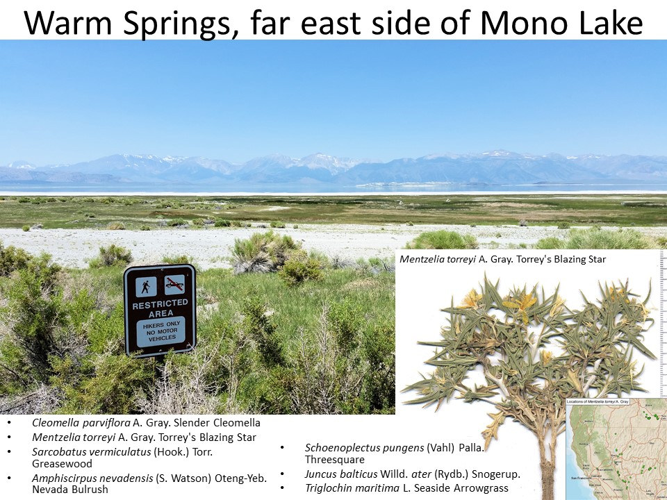 California, Mono County, Warm Springs