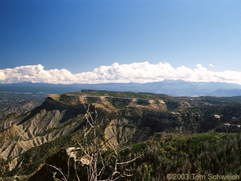 The north end of Mesa Verde