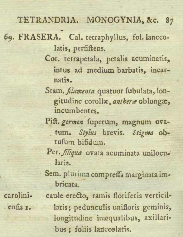 Image of first description of <i>Frasera</i>