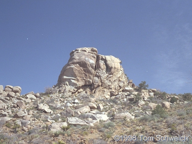 Large knob of granite in the Mid Hills near Wild Horse Canyon Road.