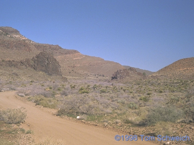 Wild Horse Canyon Road.