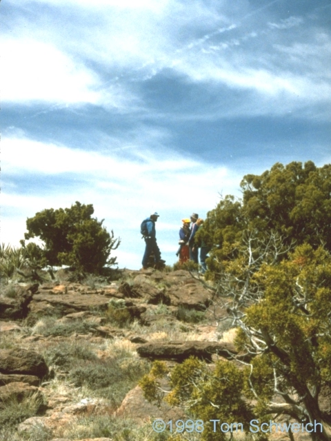 Wild Horse Mesa.