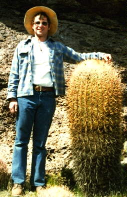 Barrel Cactus, Ferocactus cyindraceus, Wild Horse Mesa, Mojave National Preserve, California