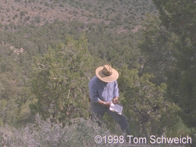 The author collecting data on the north face of Wild Horse Mesa in May 1988.