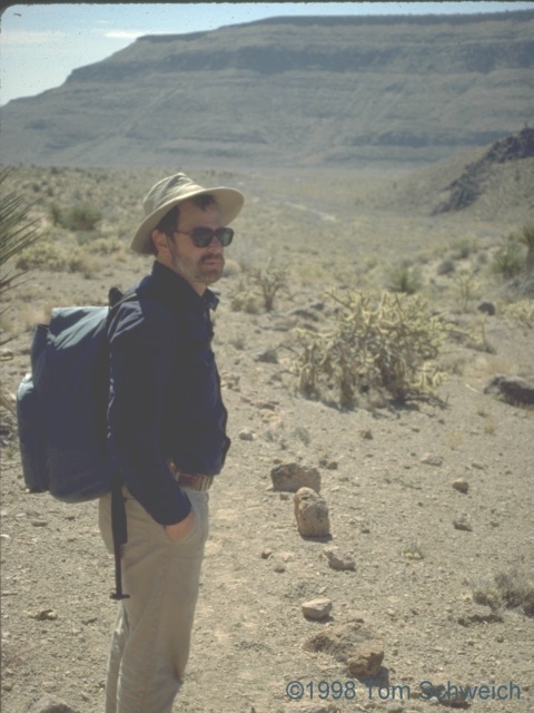 Musing about trails in Mojave National Preserve.