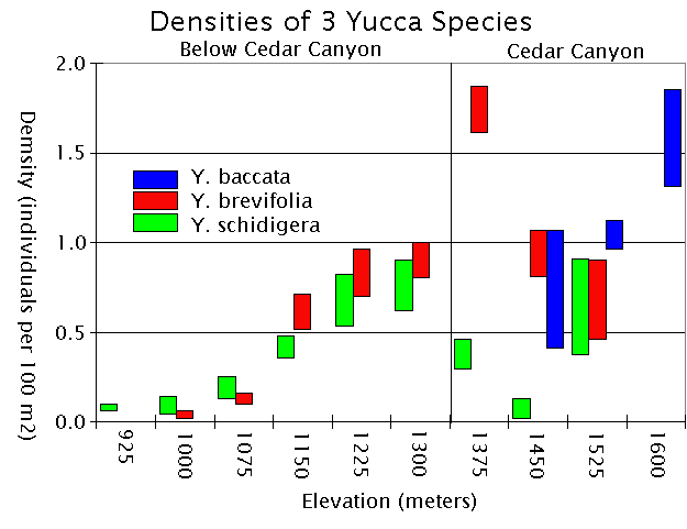 Densities of 3 Yucca Species